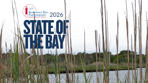 photo of the barnegat bay