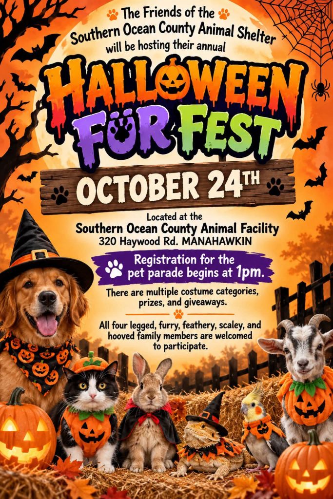 Flyer for the Friends of the Southern Ocean County Animal Shelter’s annual Halloween Fur Fest on October 24 at the Southern Ocean County Animal Facility, 320 Haywood Road in Manahawkin. Pet parade registration begins at 1 p.m., with multiple costume categories, prizes, and giveaways. All four-legged, furry, feathery, scaly, and hoofed family members are welcome to participate. The Halloween-themed flyer features pets in costumes, pumpkins, bats, and spiderwebs.